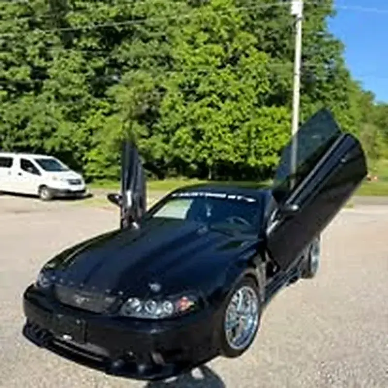 Finished Mustang